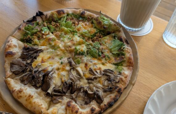 気ままに巡る（湯梨浜、倉吉編）①